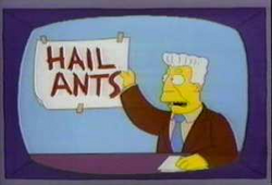 hail-ants-thumb-250x170.png