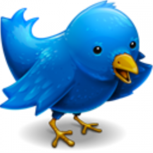 Harnessing the Power of Twitter